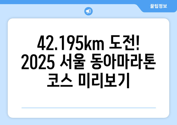 2025 서울 동아마라톤 참가 안내| 접수 일정, 코스 & 기념품 정보 | 마라톤, 대회 정보, 참가 신청