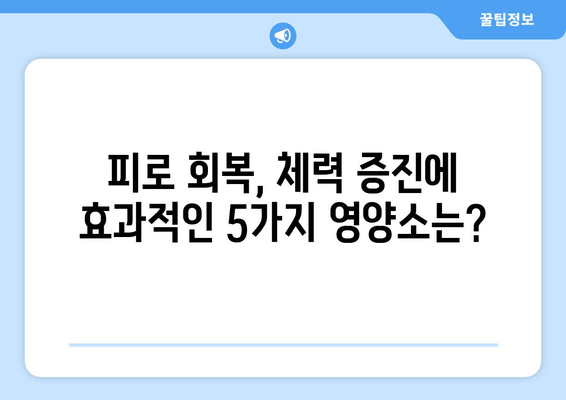 육체 피로 싹 날려줄 5가지 영양소 | 피로 회복, 체력 증진, 효과적인 영양소 섭취