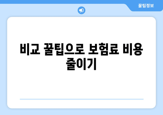 비교 꿀팁으로 보험료 비용 줄이기