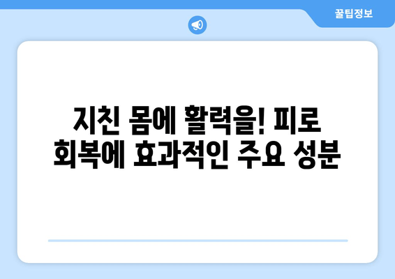 피로 회복에 효과적인 음식 10가지 & 주요 성분 | 피로 해소, 건강 식단, 에너지 충전