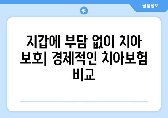 지갑에 부담 없이 치아 보호| 경제적인 치아보험 비교