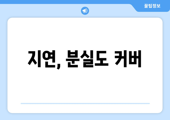 지연, 분실도 커버