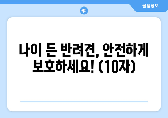 나이 든 반려견, 안전하게 보호하세요! (10자)