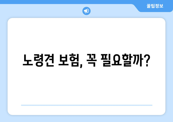 노령견 보험, 꼭 필요할까?