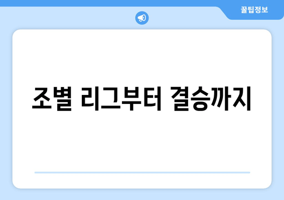 조별 리그부터 결승까지