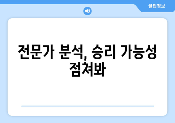 전문가 분석, 승리 가능성 점쳐봐