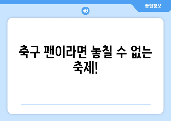 축구 팬이라면 놓칠 수 없는 축제!