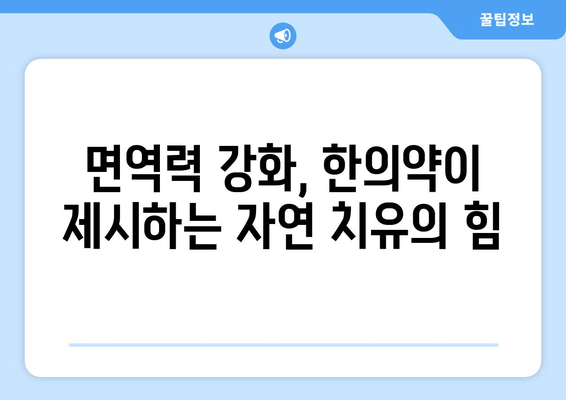 집중력과 면역력 UP! 한의약으로 찾는 건강 비법 | 한의학, 집중력 향상, 면역력 강화, 건강 관리