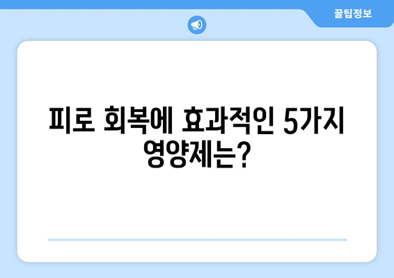 피로 회복에 효과적인 영양제 5가지 | 피로 개선, 피로 해소, 건강 관리, 영양제 추천