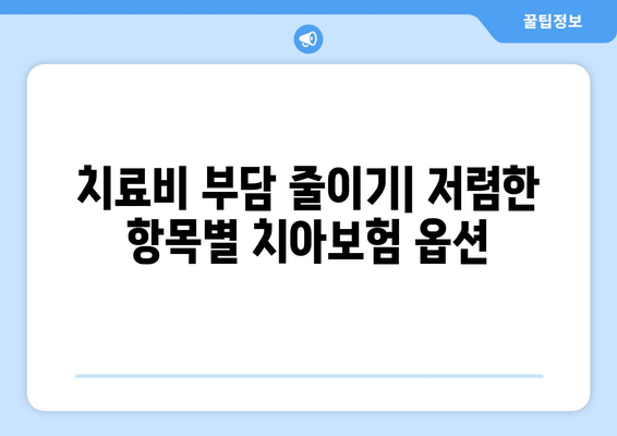 치료비 부담 줄이기| 저렴한 항목별 치아보험 옵션