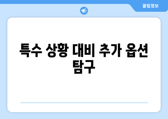 특수 상황 대비 추가 옵션 탐구