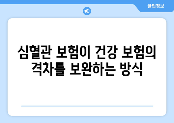 심혈관 보험이 건강 보험의 격차를 보완하는 방식