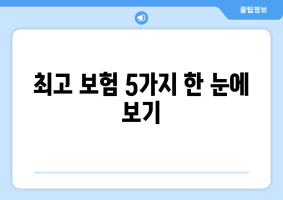 최고 보험 5가지 한 눈에 보기