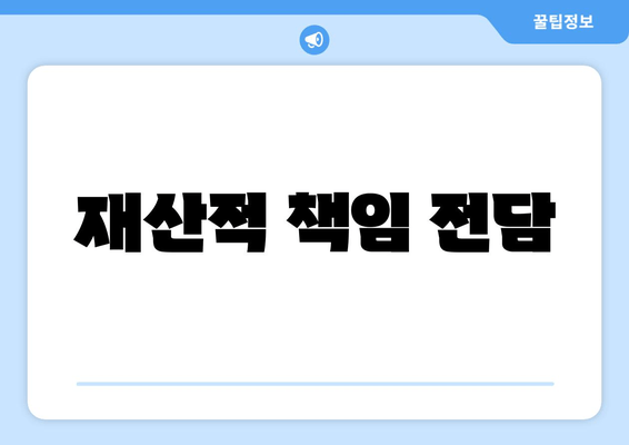 재산적 책임 전담