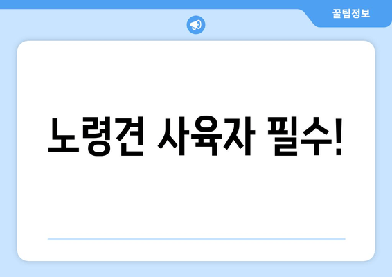 노령견 사육자 필수!