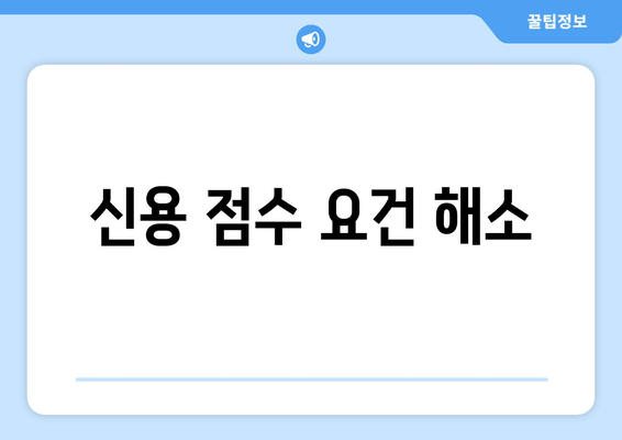 신용 점수 요건 해소