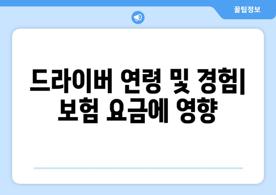 드라이버 연령 및 경험| 보험 요금에 영향