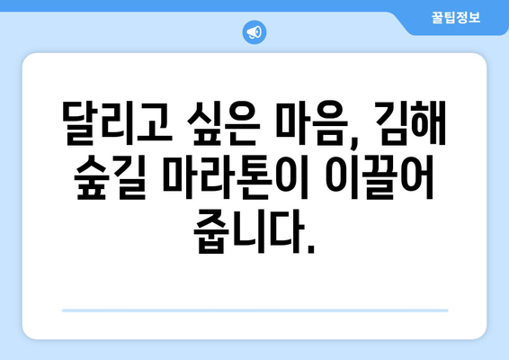 2024 김해 숲길 마라톤 10km 후기| 푸른 숲 속에서 펼친 나만의 도전 | 김해 마라톤, 10km 완주 후기, 숲길 마라톤 후기