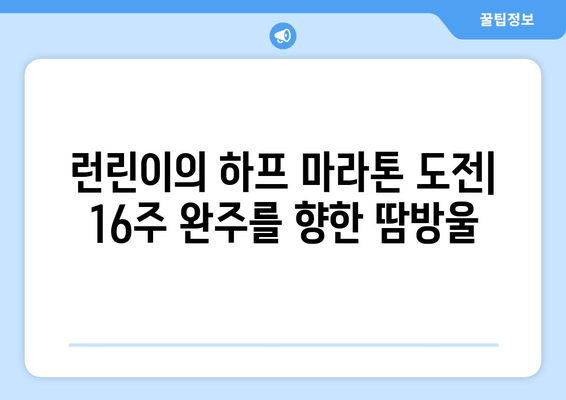 런린이의 하프 마라톤 훈련 일지| 16주 완주를 향한 땀방울 | 하프 마라톤, 훈련 계획, 러닝