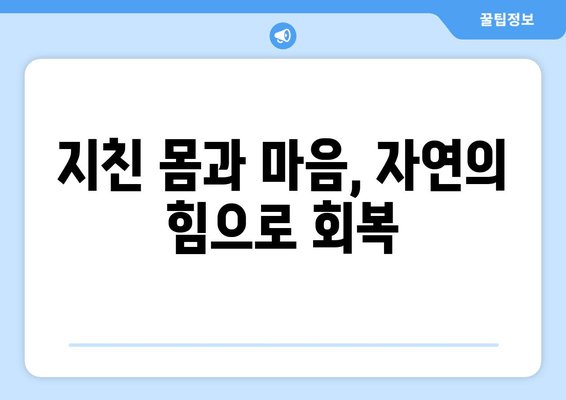 피로약 없이 활력 찾는 7가지 방법 | 피로 해소, 건강 관리, 컨디션 회복