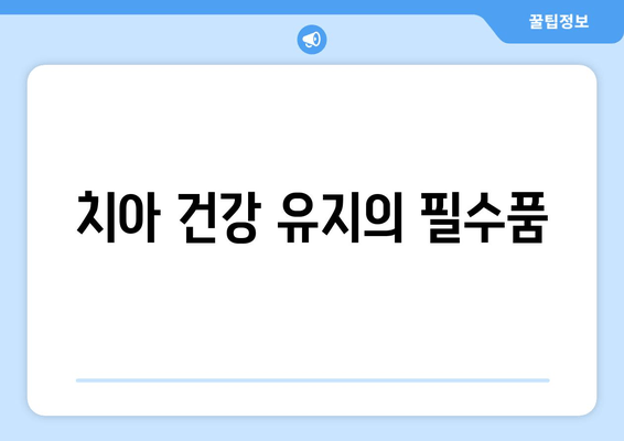 치아 건강 유지의 필수품