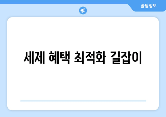 세제 혜택 최적화 길잡이