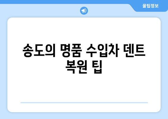 송도의 명품 수입차 덴트 복원 팁