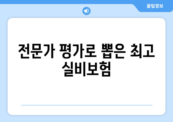 전문가 평가로 뽑은 최고 실비보험