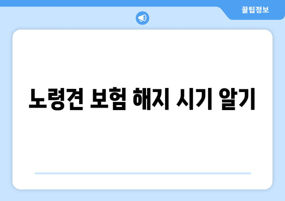 노령견 보험 해지 시기 알기