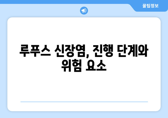 루푸스 신장염 완벽 가이드| 증상, 진행, 관리 그리고 치료 | 루푸스, 신장 질환, 면역 질환, 치료법