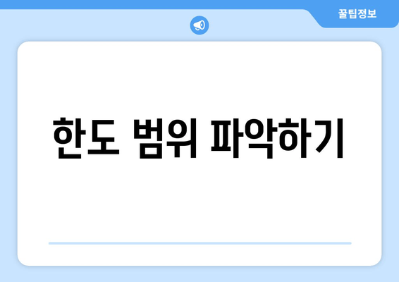 한도 범위 파악하기