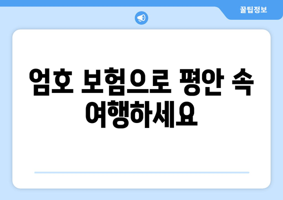 엄호 보험으로 평안 속 여행하세요