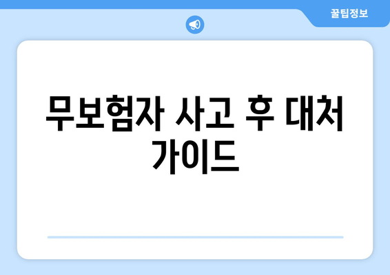 무보험자 사고 후 대처 가이드