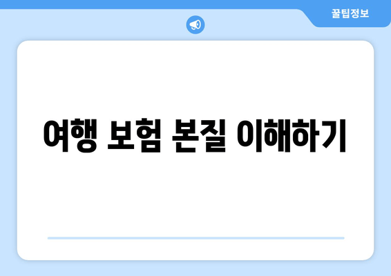 여행 보험 본질 이해하기