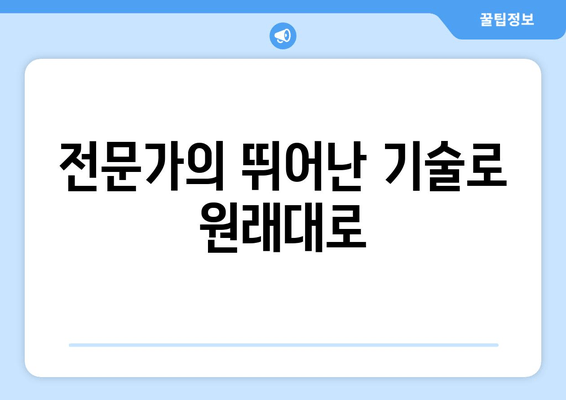 전문가의 뛰어난 기술로 원래대로