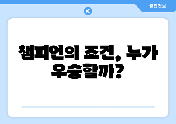 챔피언의 조건, 누가 우승할까?