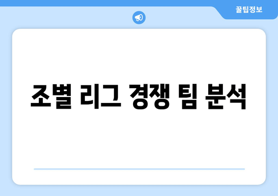 조별 리그 경쟁 팀 분석