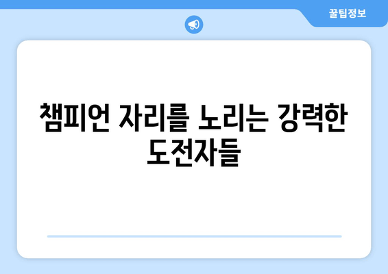 챔피언 자리를 노리는 강력한 도전자들