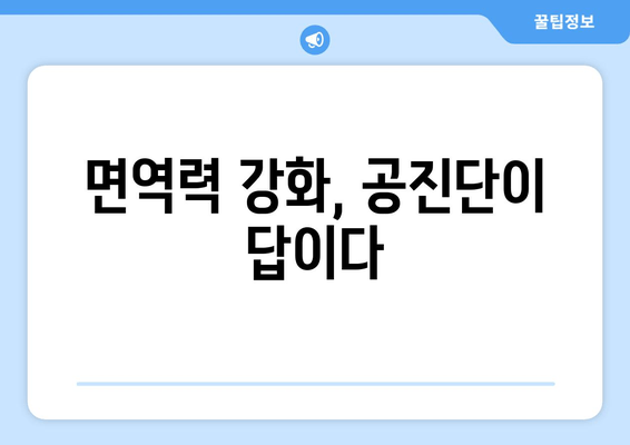 공진단 효능과 효과 완벽 가이드 | 건강, 면역력, 피로 회복,  체력 증진