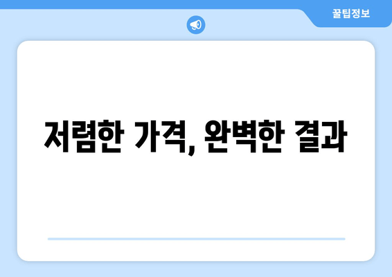 저렴한 가격, 완벽한 결과