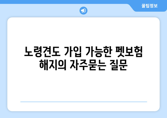 노령견도 가입 가능한 펫보험 해지