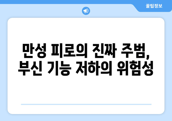 부신피로 증상, 심각성과 대처법 완벽 가이드 | 부신 기능 저하, 스트레스, 피로, 건강 관리