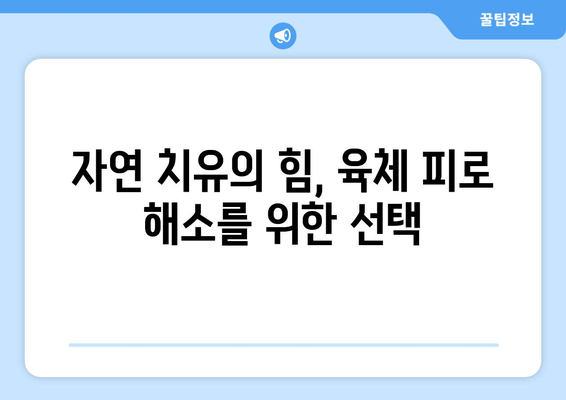 육체 피로 해소를 위한 자연 영양제 가이드 | 피로 회복, 건강 식품, 자연 치유