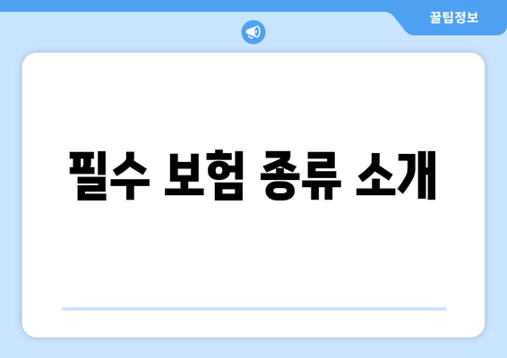 필수 보험 종류 소개