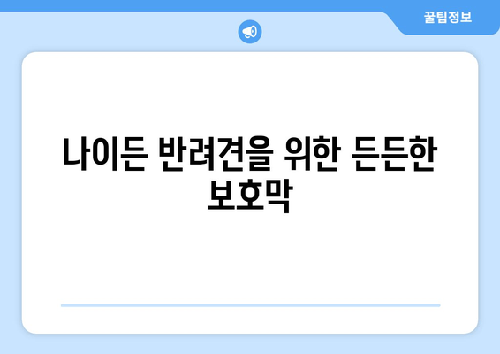 나이든 반려견을 위한 든든한 보호막