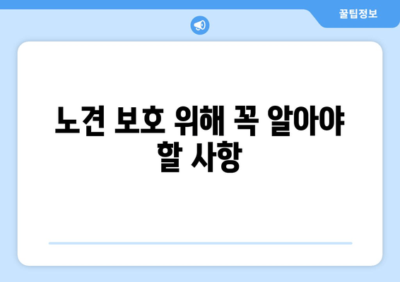 노견 보호 위해 꼭 알아야 할 사항