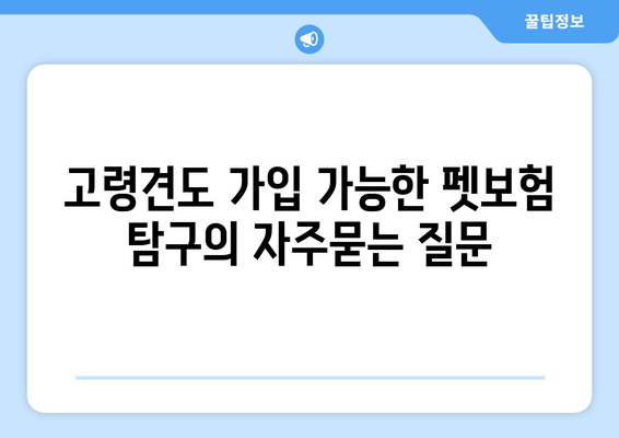 고령견도 가입 가능한 펫보험 탐구