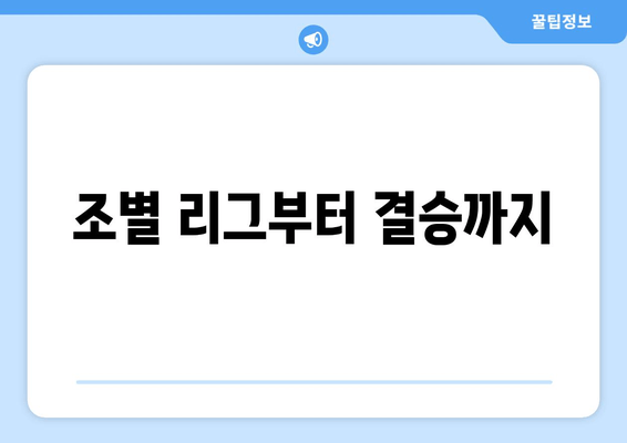 조별 리그부터 결승까지