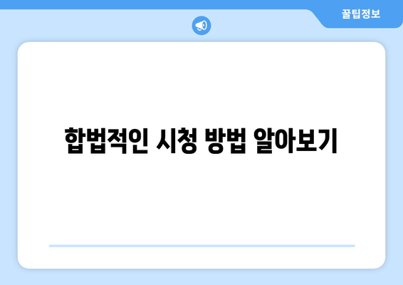 합법적인 시청 방법 알아보기