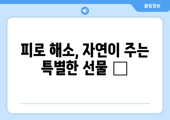 피로약 대신 자연으로! 🌿 만성피로 극복하는 7가지 방법 | 만성피로, 피로 해소, 자연 치유, 건강 팁